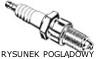 Spark plug