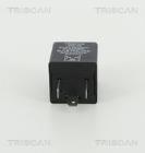 Flasher Unit TRISCAN 1010 EP35