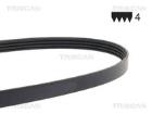 V-ribbed Belt TRISCAN 8640 400890