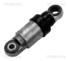 Vibration Damper, V-ribbed belt TRISCAN 8641 103008