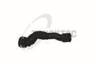 Screw Plug, oil sump TRUCKTEC AUTOMOTIVE 07.10.080