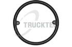 Seal Ring, oil cooler (lubrication) TRUCKTEC AUTOMOTIVE 07.18.042