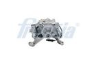 Oil Pump FRECCIA OP09-296