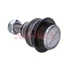 Ball Joint ASHIKA 73-02-263
