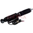 Shock Absorber ASHIKA MA-AS456