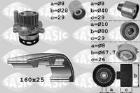 Water Pump & Timing Belt Kit SASIC 3906078