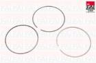Piston Ring Set FAI AutoParts PR299-000