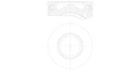 Piston MAHLE 081 PI 00105 000