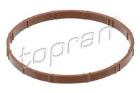 Guide, timing chain TOPRAN 408 644