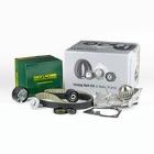 Water Pump & Timing Belt Kit FIRST LINE FTW1077