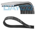 V-ribbed Belt DAYCO 8PK1289HD