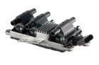 Ignition Coil FISPA 85.30087