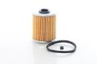 Fuel Filter BSG BSG 62-130-001