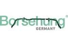 Stabiliser Bar, suspension Borsehung B10812
