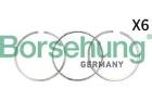 Piston Ring Set Borsehung B18820