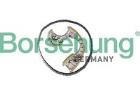 Chain Kit, oil pump drive Borsehung B12960