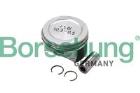 Piston Borsehung B18992