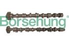 Camshaft Kit Borsehung B13451