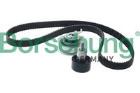 Timing Belt Kit Borsehung B13464