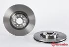 Brake Disc BREMBO 09.A201.10