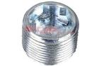 Screw Plug, manual transmission housing METZGER AUTOTEILE 8030064